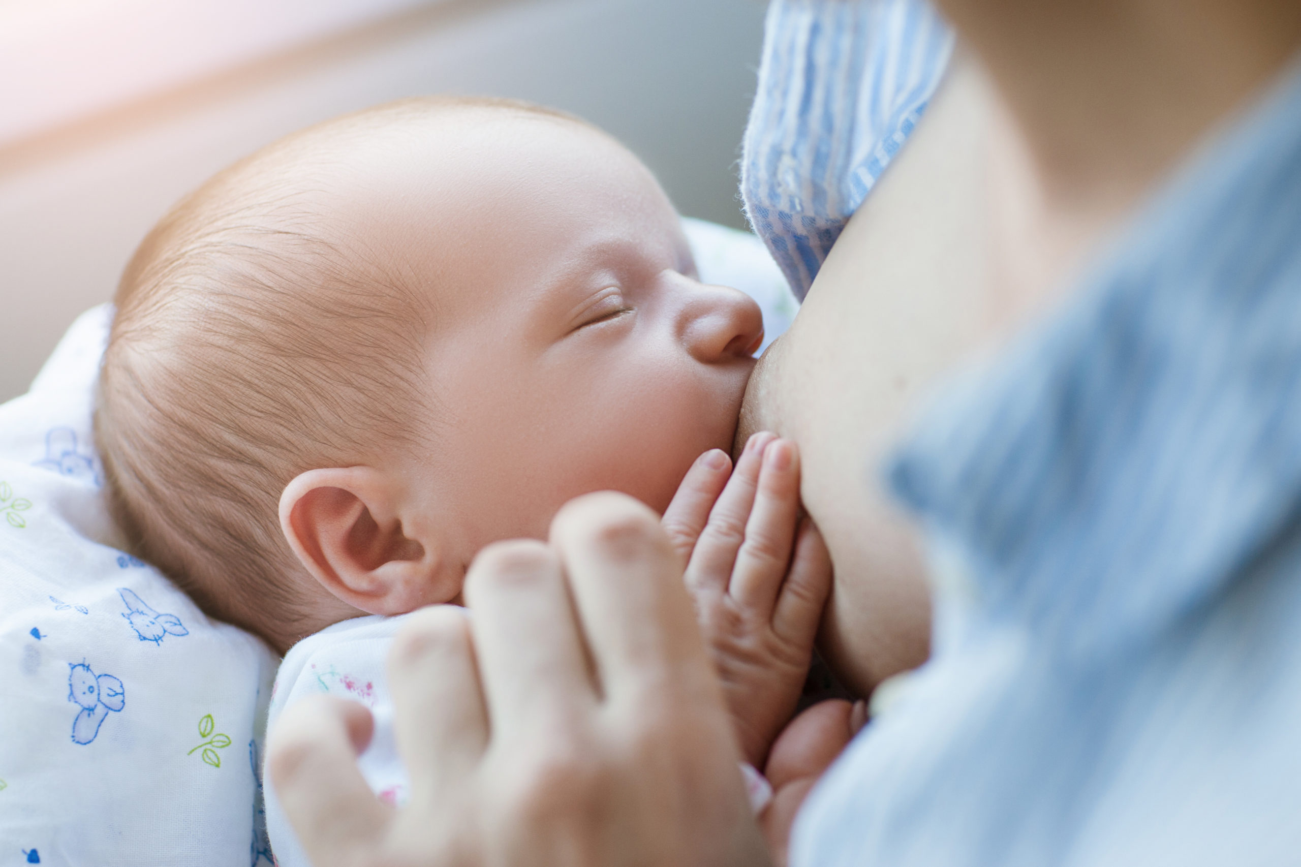 L'allaitement : lactation et mise au sein du bébé