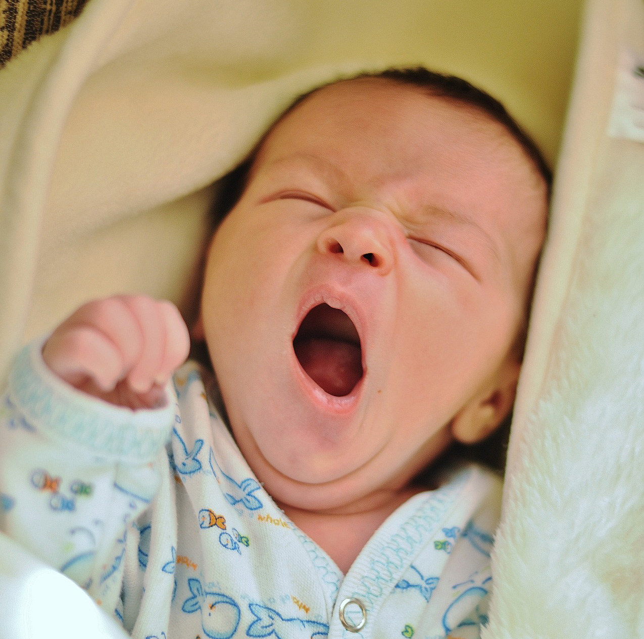 Pourquoi les nouveau-nés n'ont pas de larmes et ne transpirent pas ? 