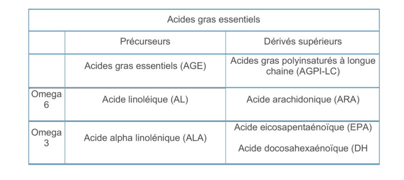 Tableau Acides Gras Essentiels