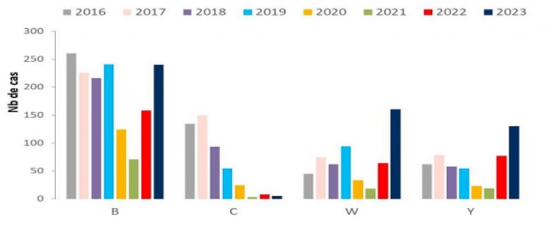 Nombre de cas d'infections invasives à méningocoque selon les principaux sérogroupes en France, entre 2016 et 2023
