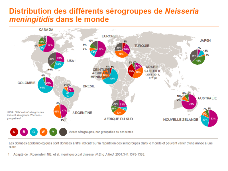 Répartition méningocoques dans le monde mpedia