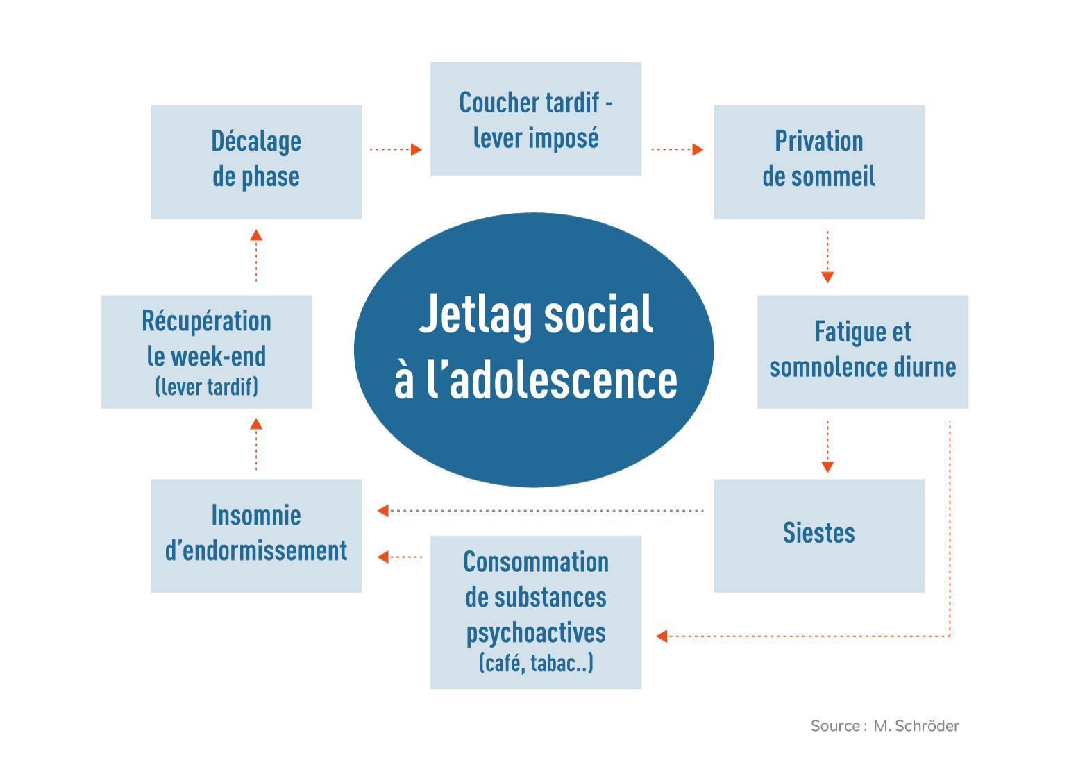 Les stades de sommeil chez l'adulte en bref - Clinique de Santé