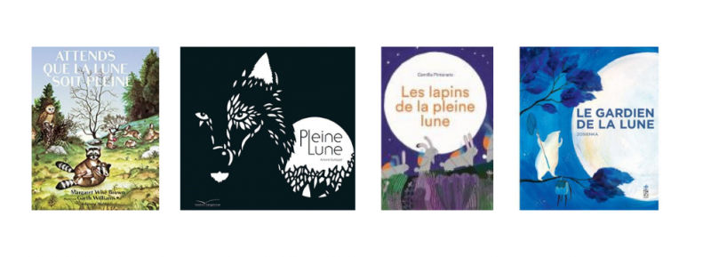 Attends Lune Pleine Lune Livre