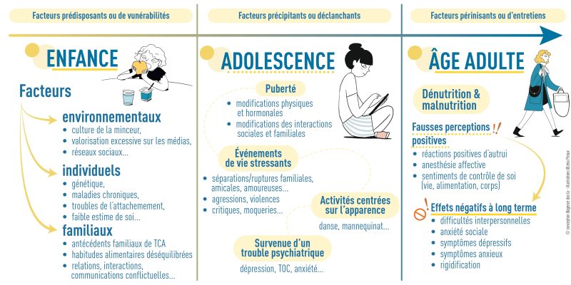Schéma représentant les différents facteurs à travers le développement d'une personne résultant à des troubles des conduites alimentaires (boulimie, anoréxie mentale, etc.).