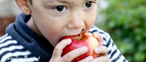 Complément alimentaire