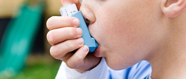 L'asthme, une inflammation des bronches liée aux allergies - mpedia.fr