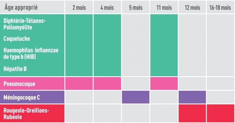 Le calendrier vaccinal en vigueur pour les 0 - 11 ans - mpedia.fr