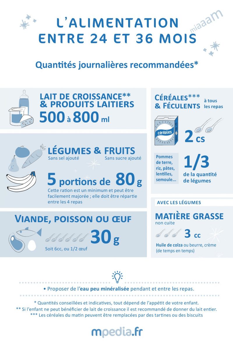 L'alimentation entre 24 et 36 mois - Infographie mpedia