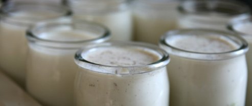 Recettes de yaourts maison au lait infantile 